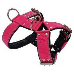 Szelki Guard Strong 5 cm