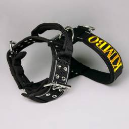 Szelki Guard Strong 5 cm haft