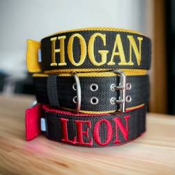 Obroża Double Strong z...