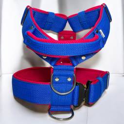 Szelki Guard Cobra 4 cm